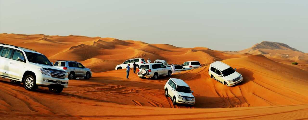 Morning desert safari dubai